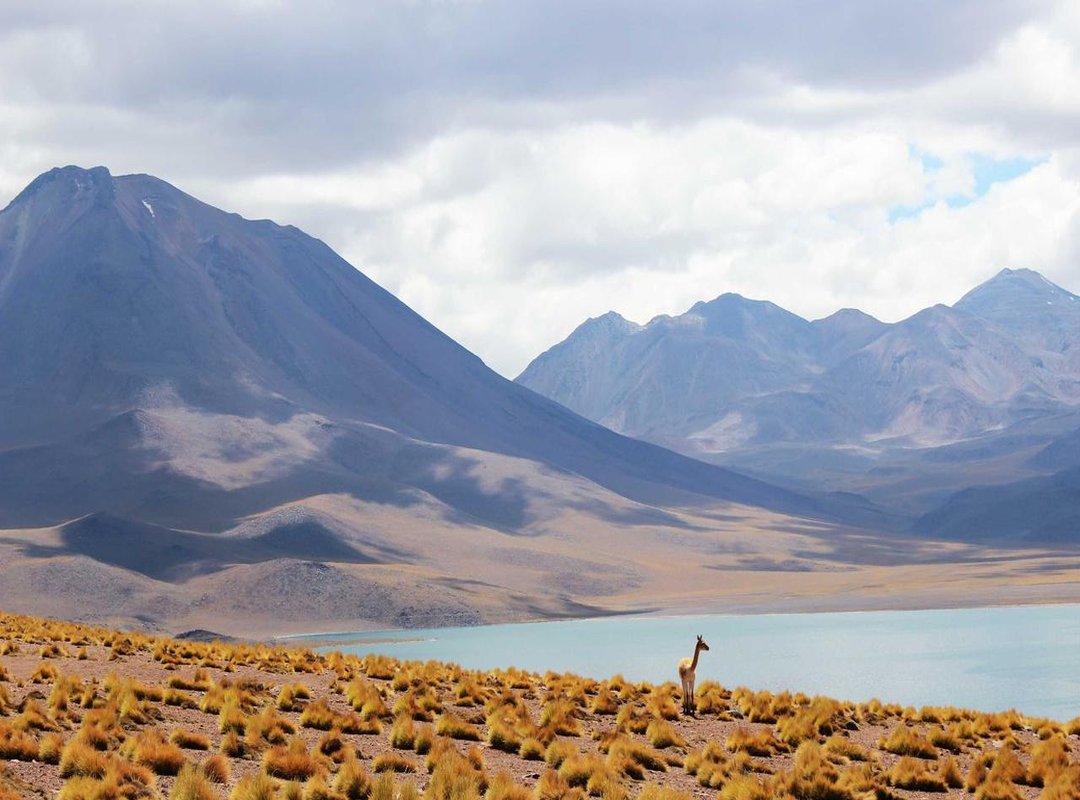 How to Convert 5000 MXN to CLP: Step-by-Step Guide