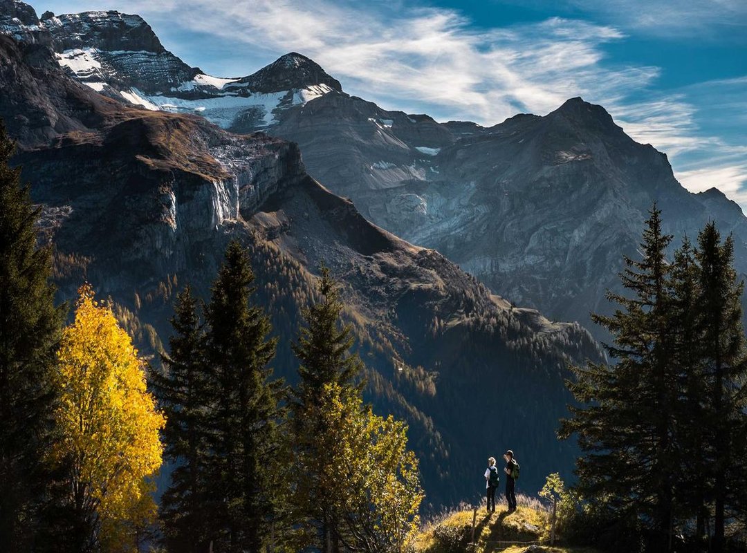 Unleash the Magic: Werewolves, Meif'was, and More Fantasy Creatures