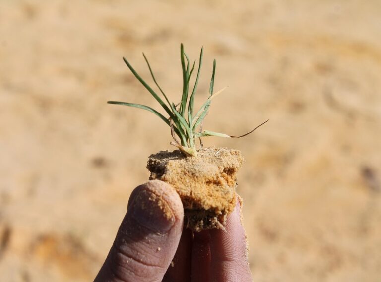 bonito buenos dias miercoles vintage