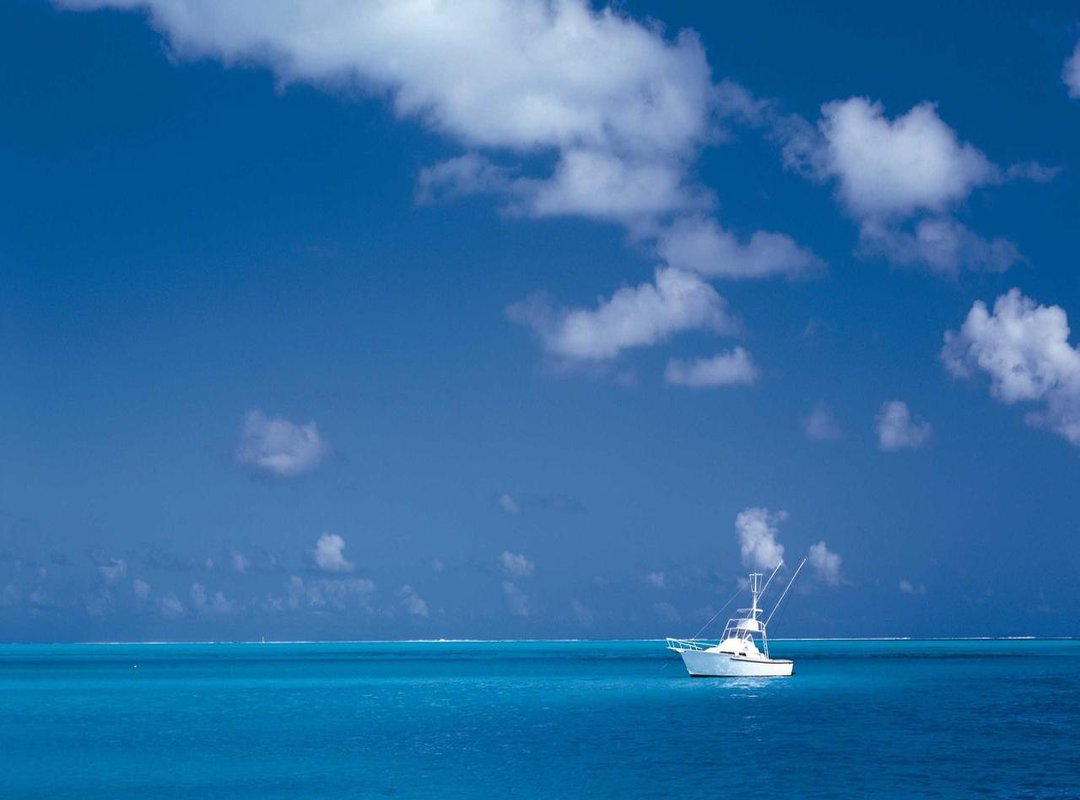 Mastering Security: Secure Wallet Setup and Best Practices