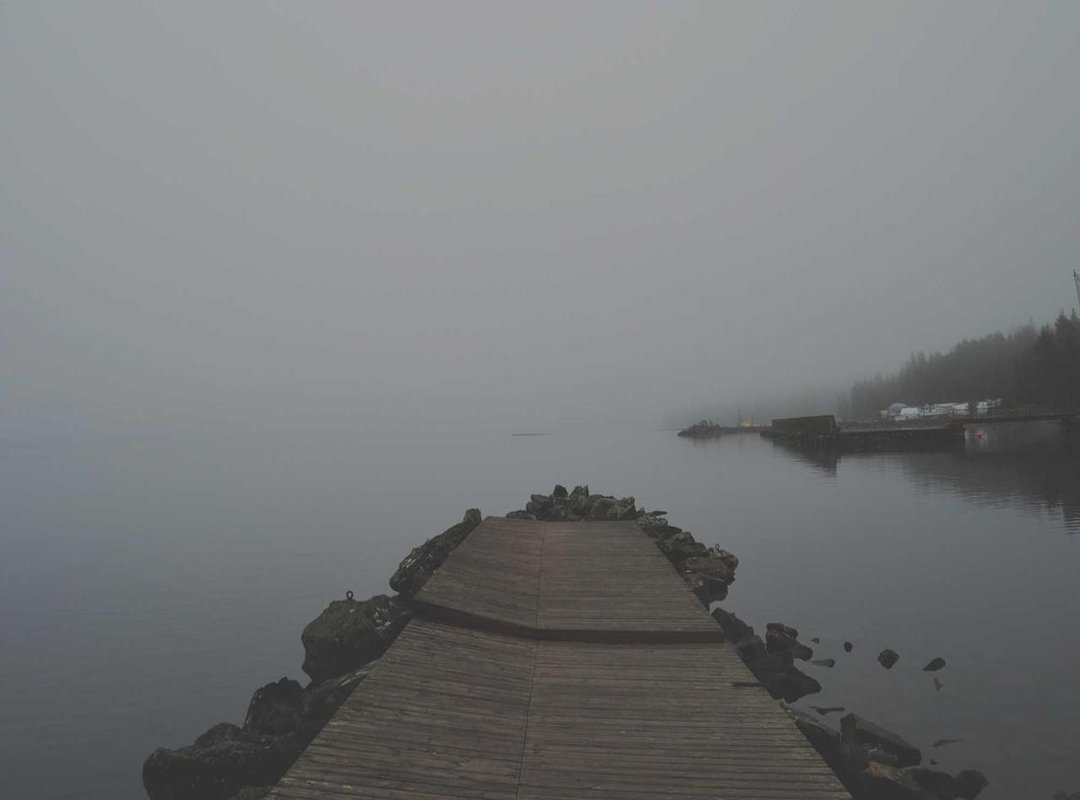 Understanding the Author: The Mind Behind the Story