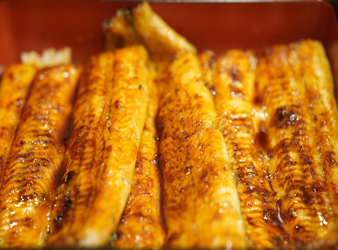 How to Install and Use Your New Japanese Font