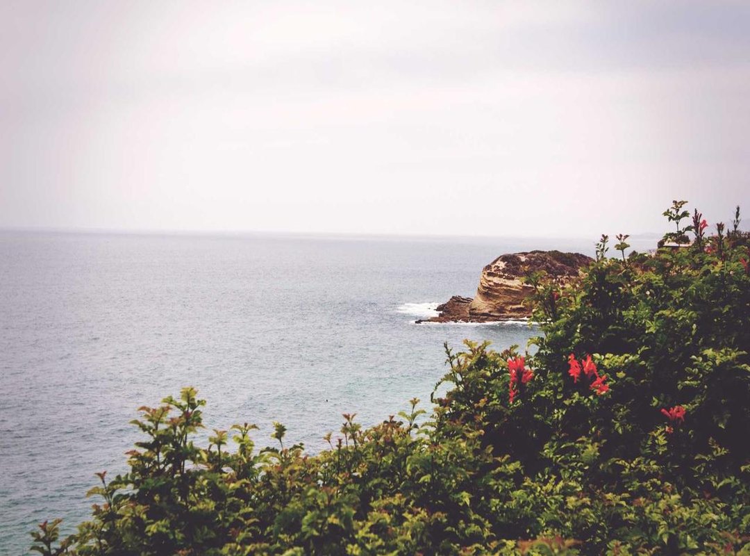 Let's Draw Another Fan Favorite: How to Draw Snorlax