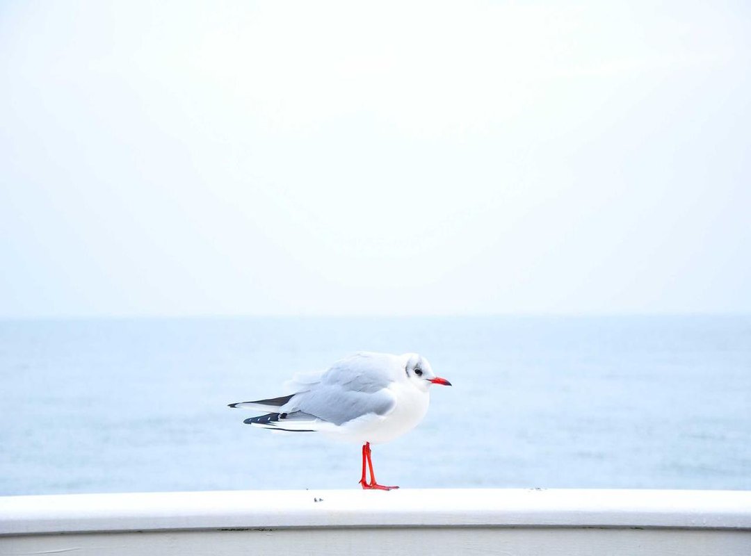 Getting the Best Value: A Step-by-Step Guide to Requesting a Quote